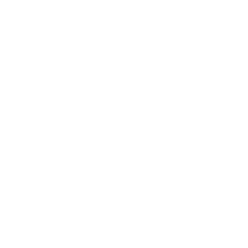 TornadoVet Logo